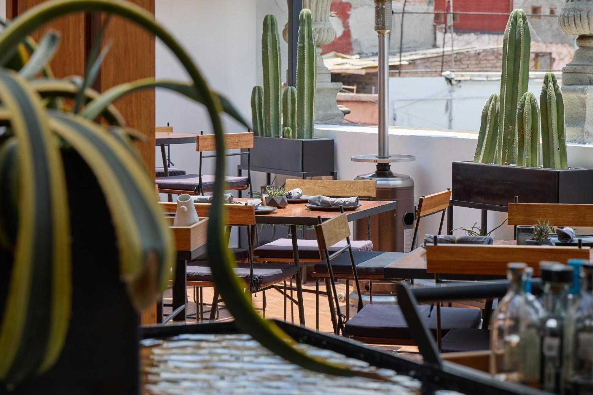 Casa De La Luz Hotel Boutique Мексико Сити Екстериор снимка